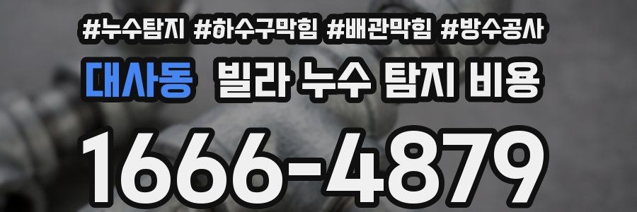 대사동 빌라 누수 탐지 비용