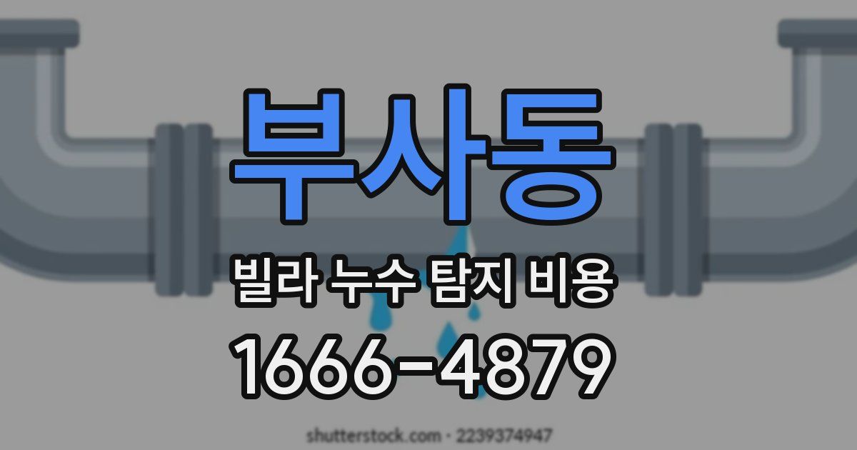 부사동 빌라 누수 탐지 비용