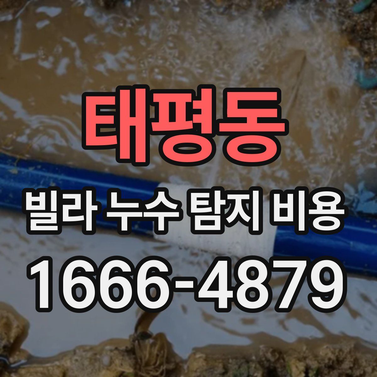 태평동 빌라 누수 탐지 비용