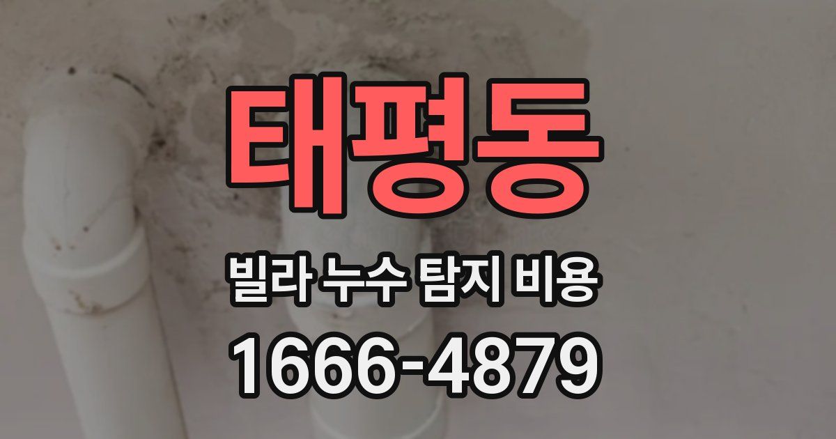 태평동 빌라 누수 탐지 비용