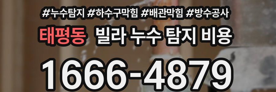 태평동 빌라 누수 탐지 비용