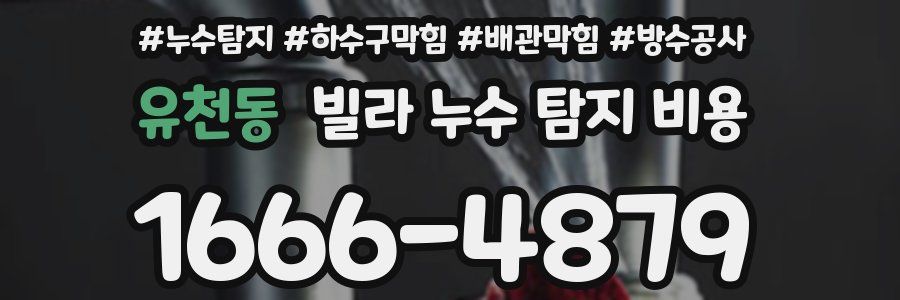 유천동 빌라 누수 탐지 비용