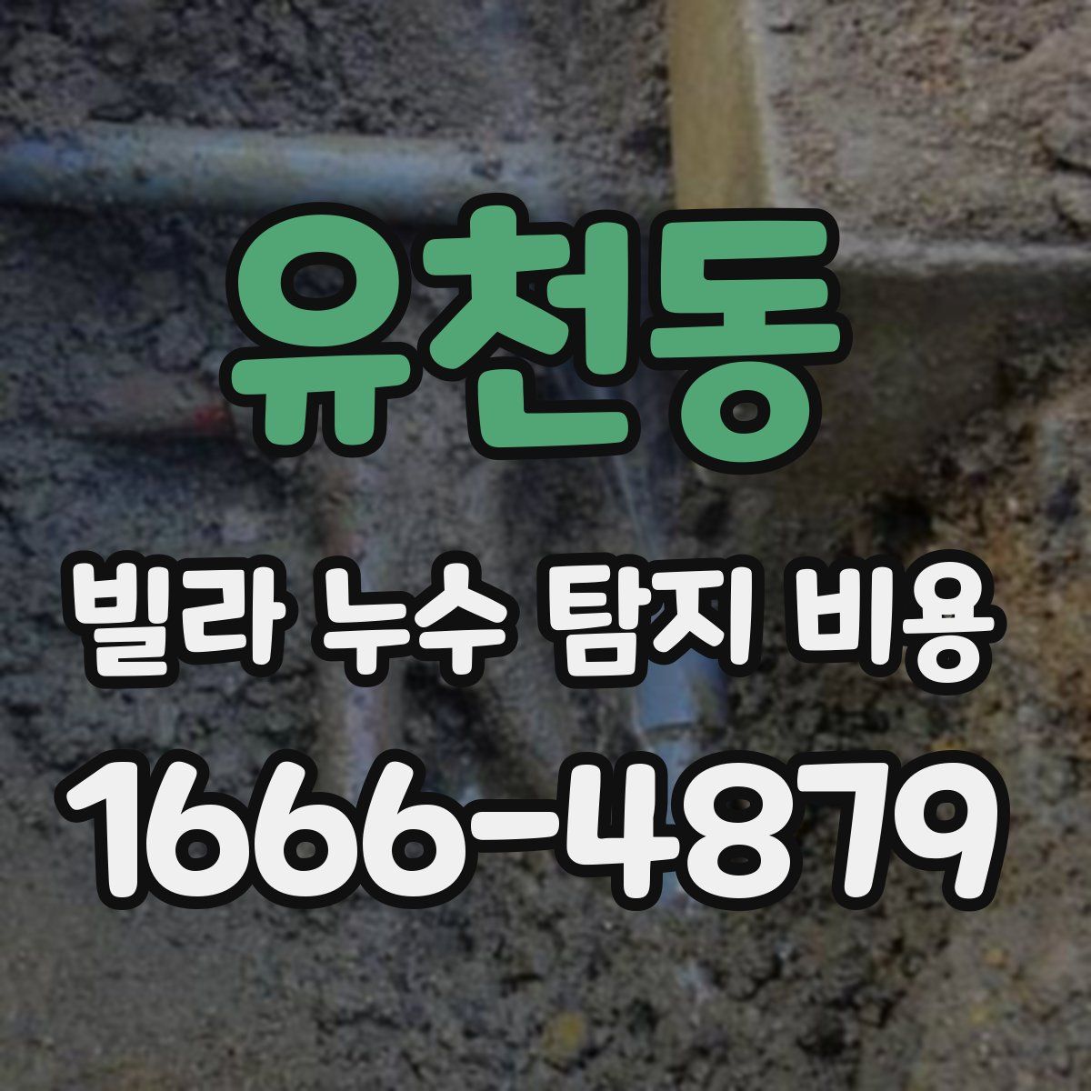 유천동 빌라 누수 탐지 비용