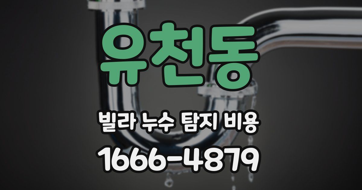 유천동 빌라 누수 탐지 비용