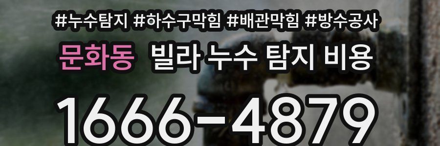 문화동 빌라 누수 탐지 비용