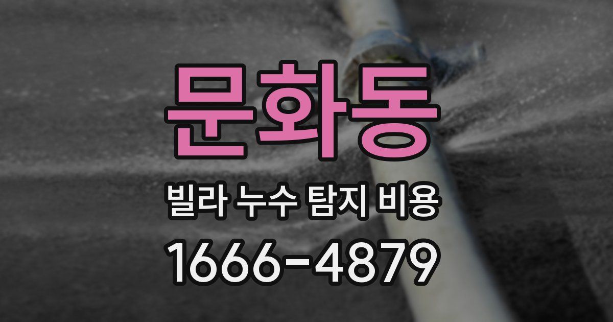문화동 빌라 누수 탐지 비용