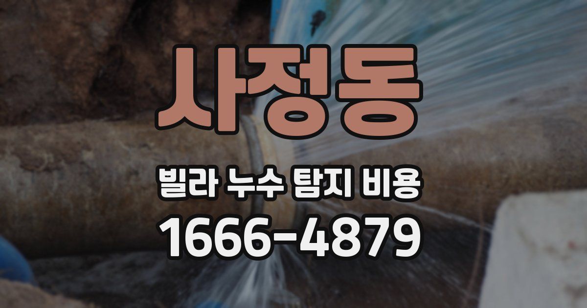 사정동 빌라 누수 탐지 비용