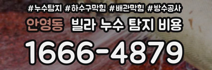 안영동 빌라 누수 탐지 비용