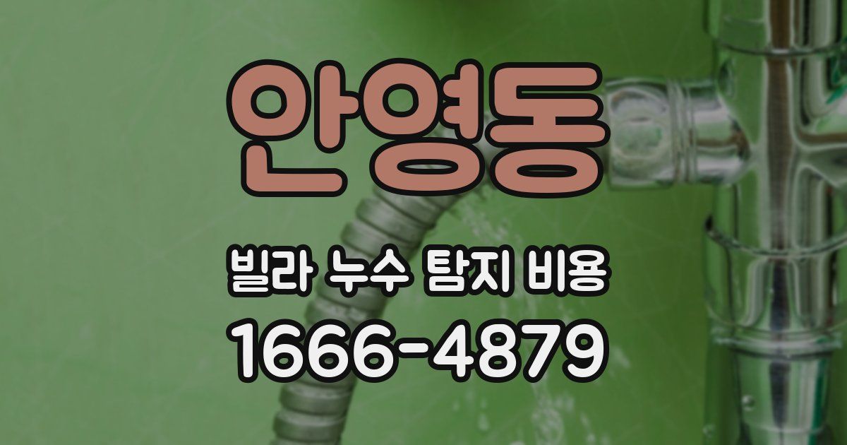 안영동 빌라 누수 탐지 비용