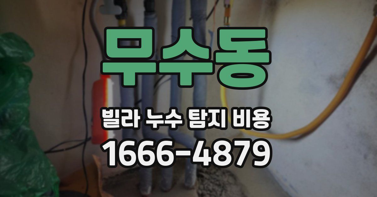 무수동 빌라 누수 탐지 비용