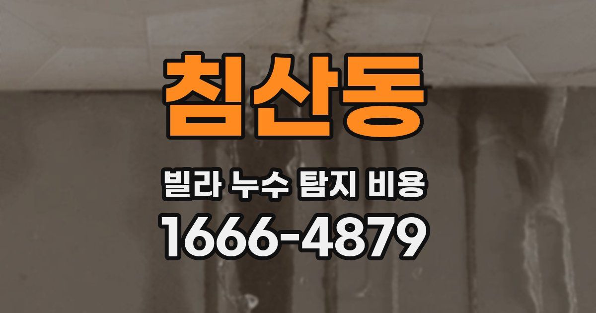 침산동 빌라 누수 탐지 비용