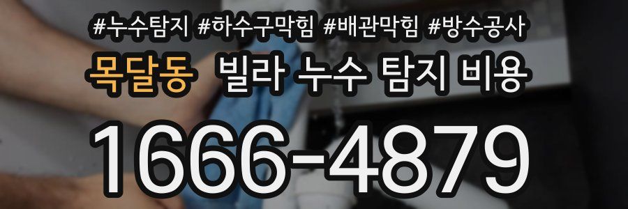 목달동 빌라 누수 탐지 비용