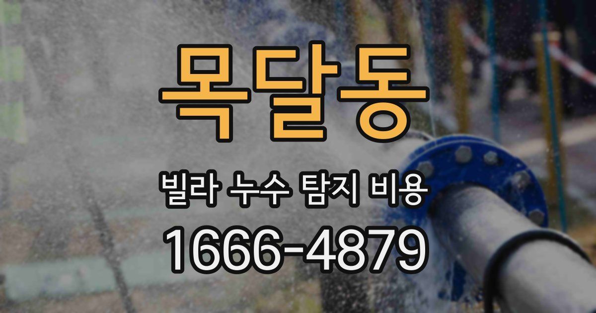 목달동 빌라 누수 탐지 비용