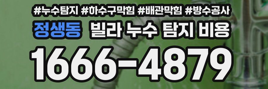 정생동 빌라 누수 탐지 비용
