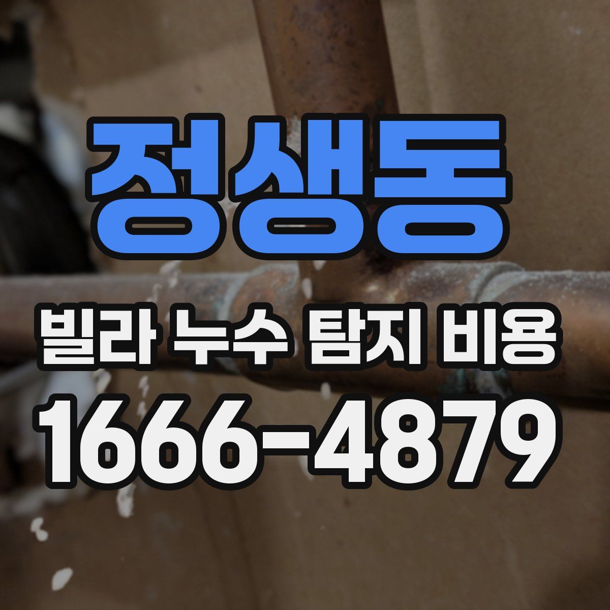 정생동 빌라 누수 탐지 비용