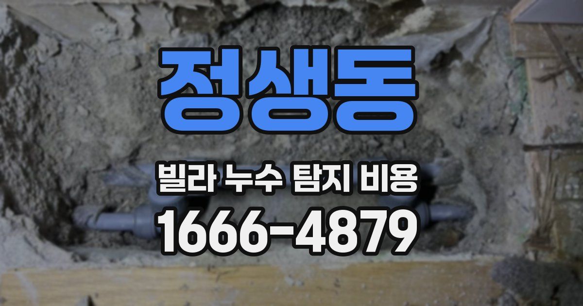 정생동 빌라 누수 탐지 비용