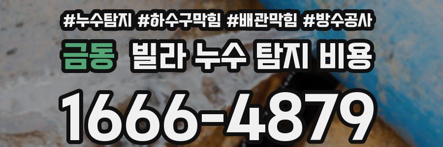 금동 빌라 누수 탐지 비용