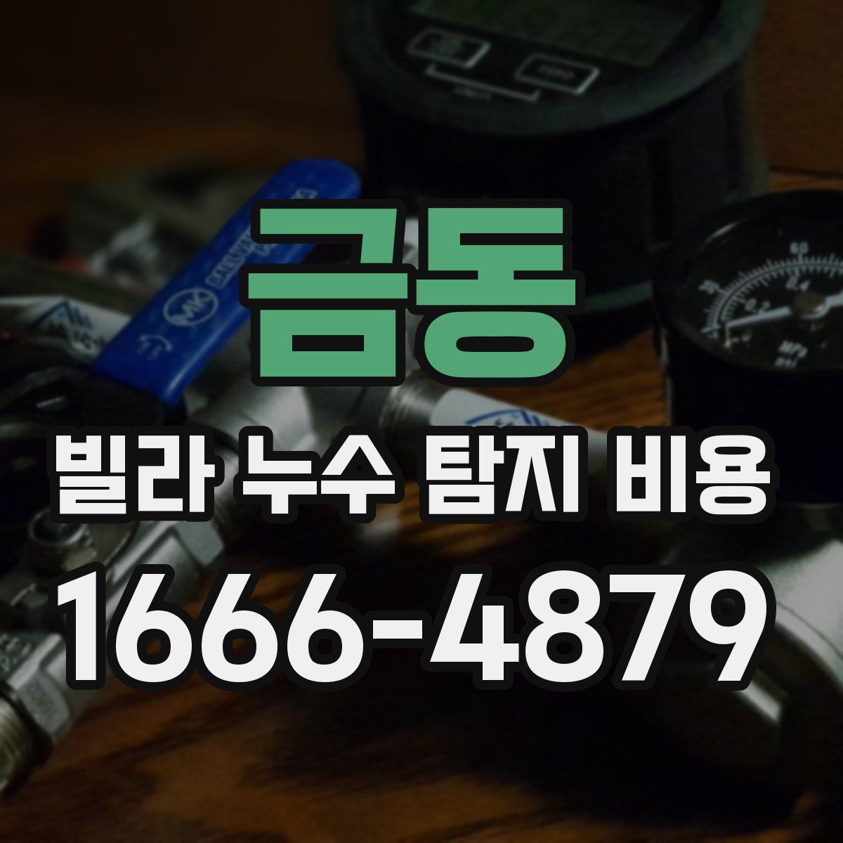 금동 빌라 누수 탐지 비용