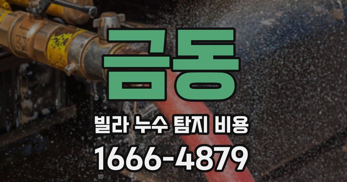 금동 빌라 누수 탐지 비용