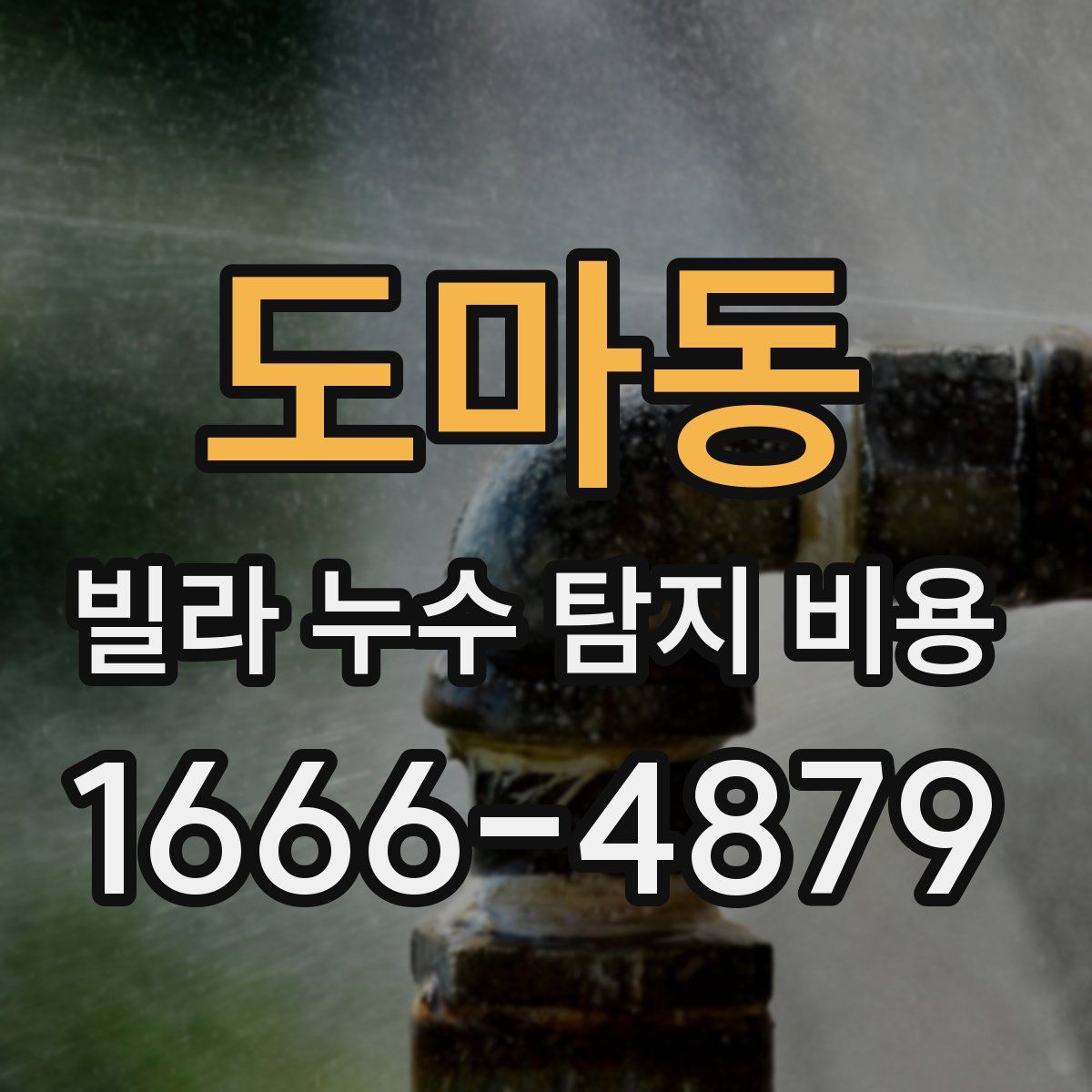 도마동 빌라 누수 탐지 비용