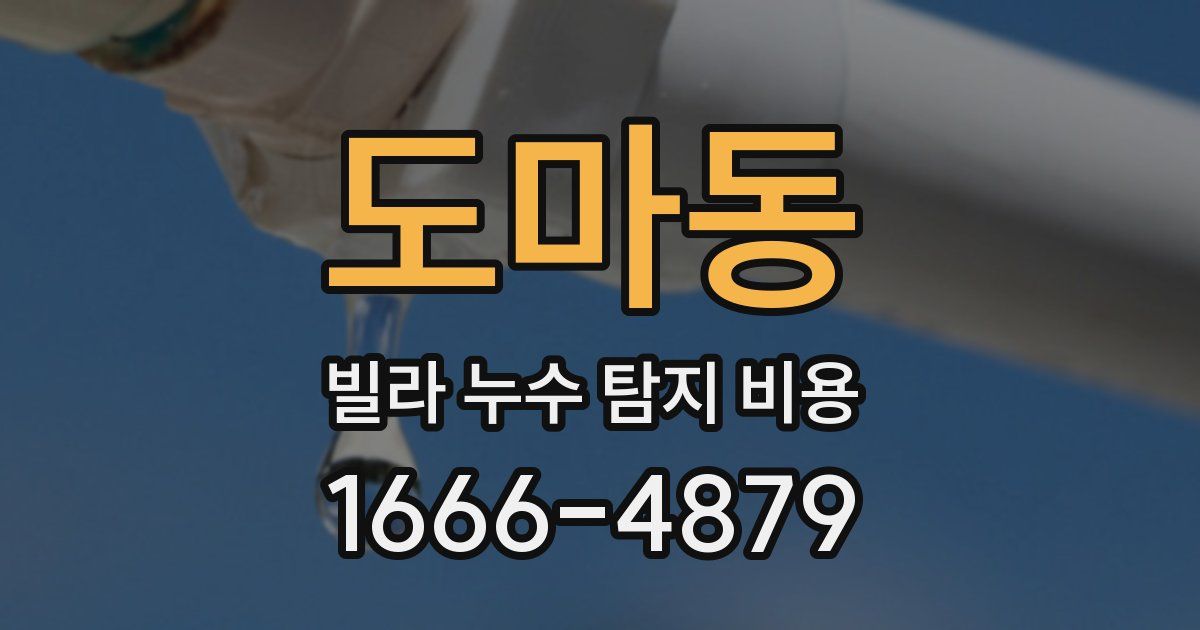 도마동 빌라 누수 탐지 비용