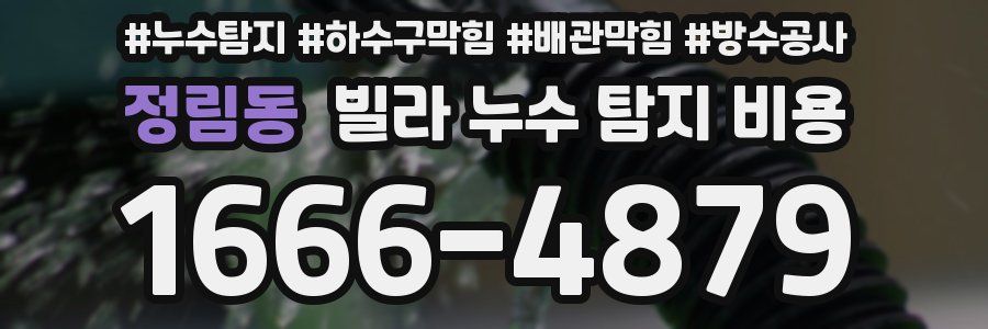 정림동 빌라 누수 탐지 비용