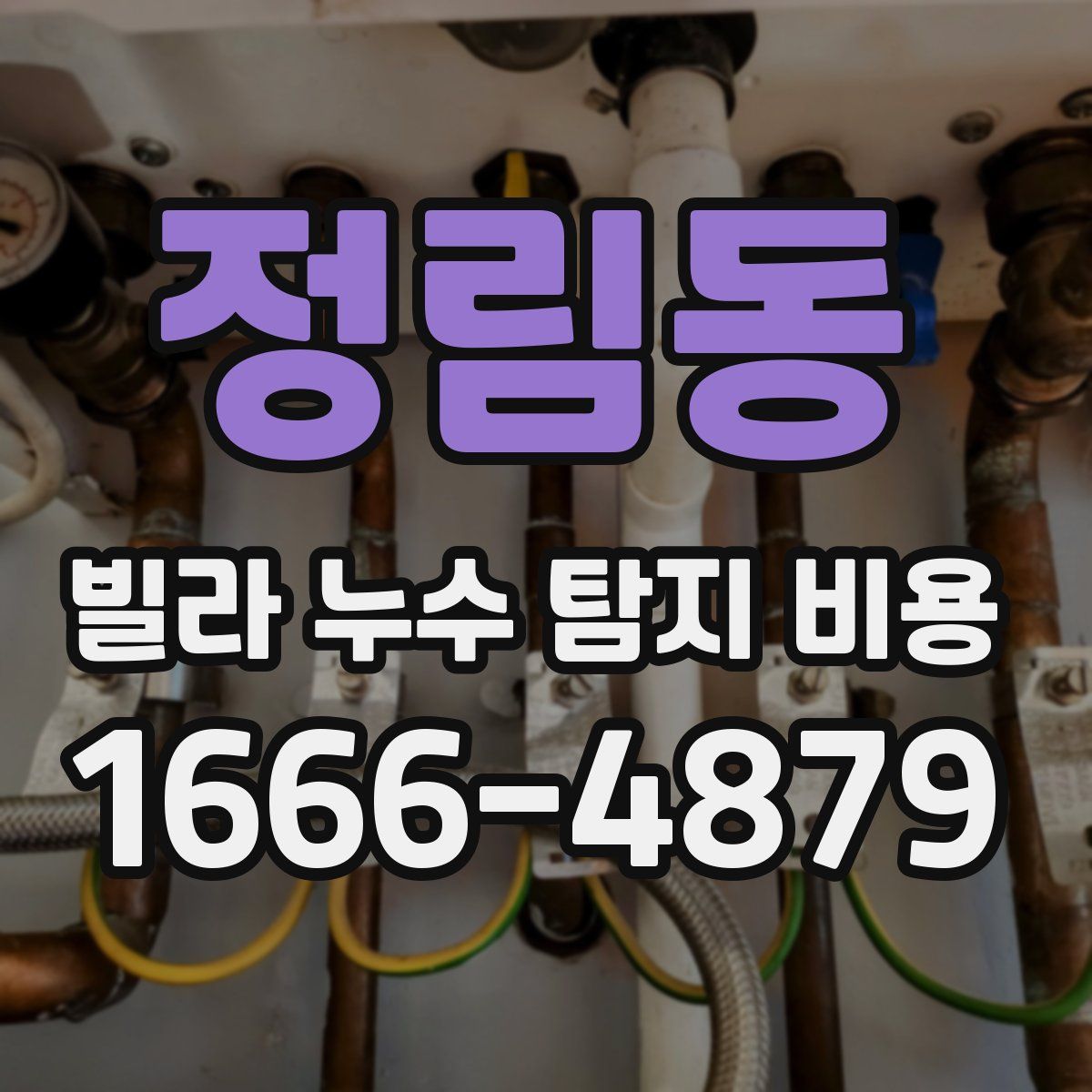 정림동 빌라 누수 탐지 비용