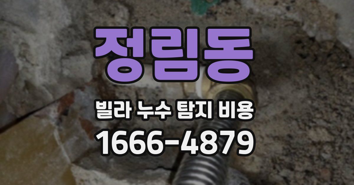 정림동 빌라 누수 탐지 비용