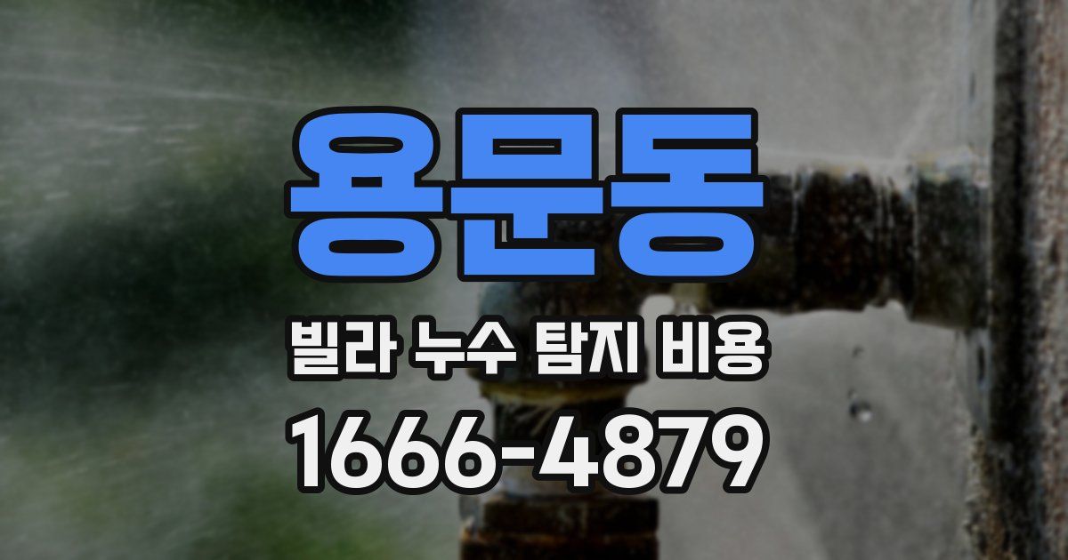 용문동 빌라 누수 탐지 비용