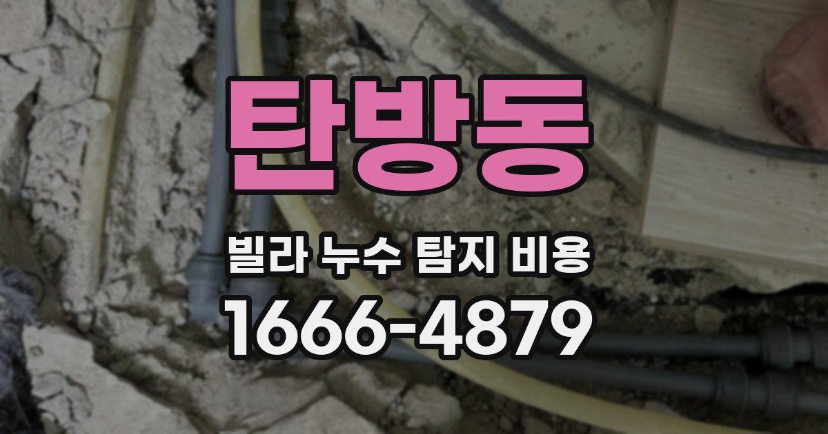 탄방동 빌라 누수 탐지 비용