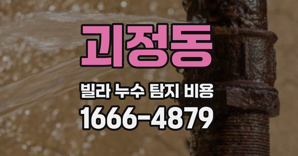 괴정동 빌라 누수 탐지 비용