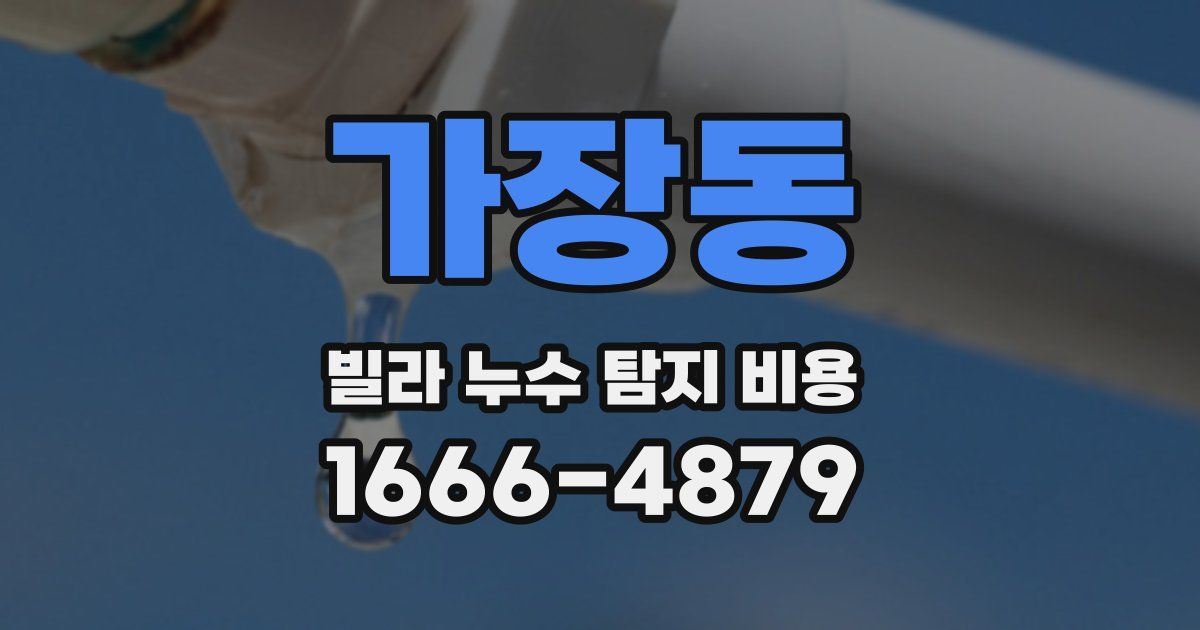 가장동 빌라 누수 탐지 비용