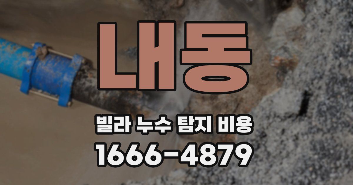 내동 빌라 누수 탐지 비용