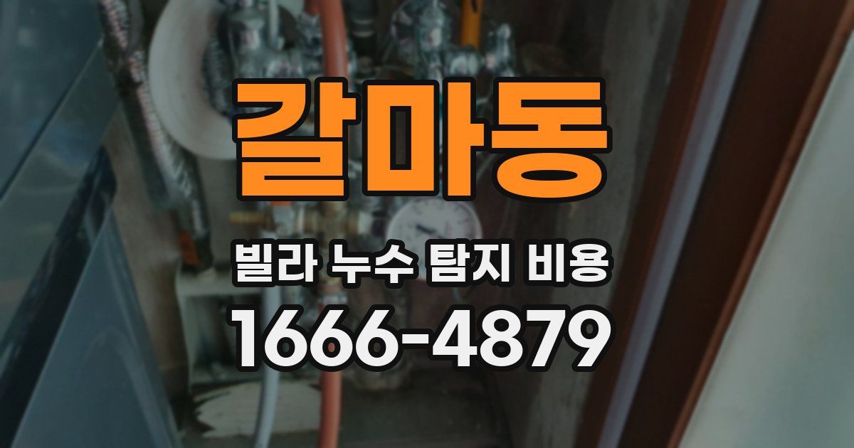 갈마동 빌라 누수 탐지 비용