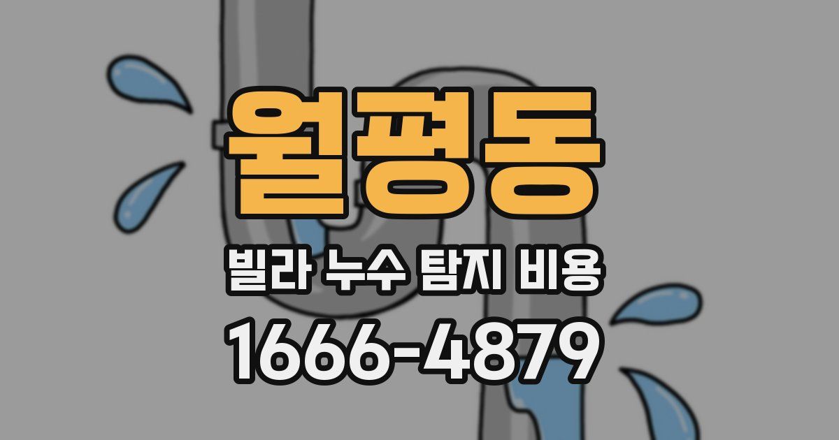 월평동 빌라 누수 탐지 비용