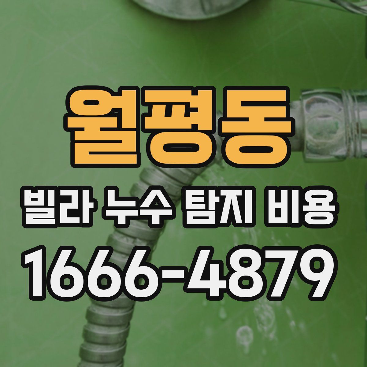 월평동 빌라 누수 탐지 비용