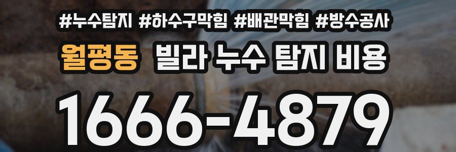 월평동 빌라 누수 탐지 비용