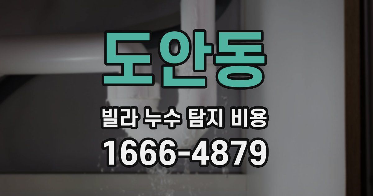 도안동 빌라 누수 탐지 비용