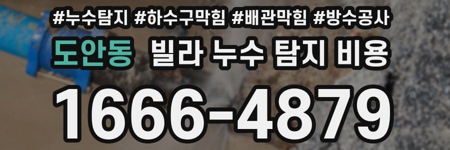 도안동 빌라 누수 탐지 비용