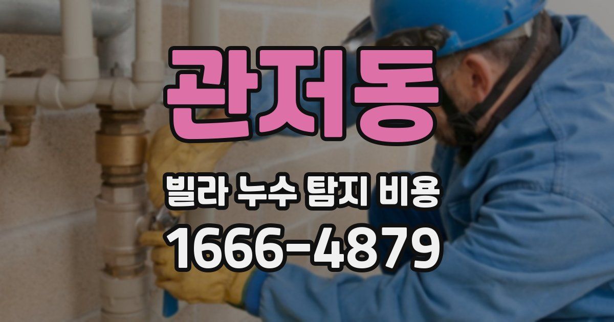 관저동 빌라 누수 탐지 비용