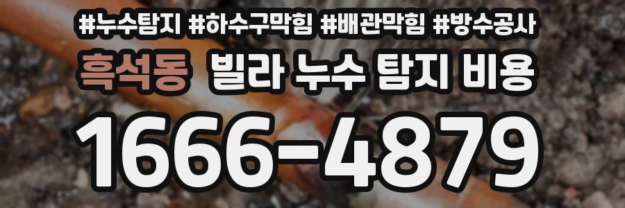 흑석동 빌라 누수 탐지 비용