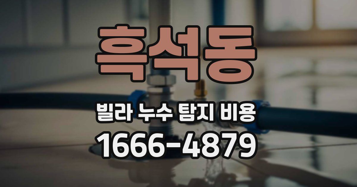 흑석동 빌라 누수 탐지 비용
