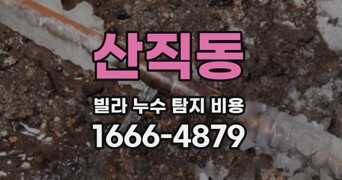 산직동 빌라 누수 탐지 비용