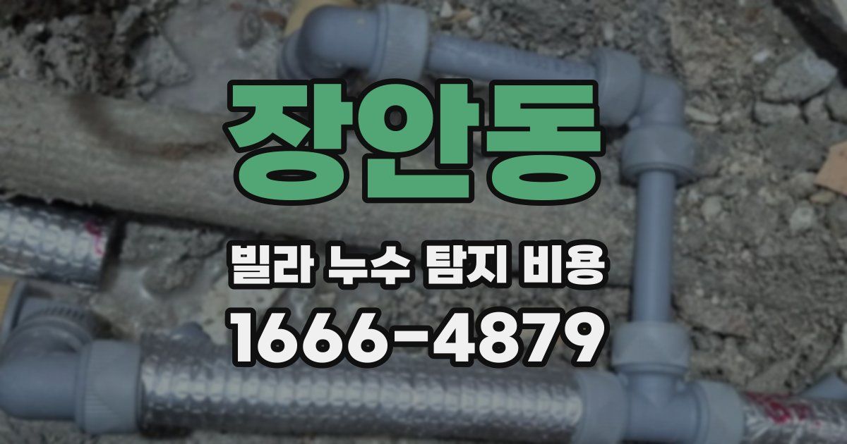 장안동 빌라 누수 탐지 비용