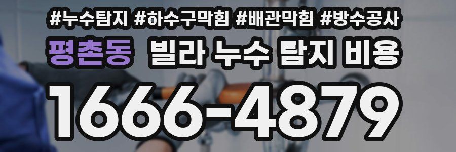 평촌동 빌라 누수 탐지 비용
