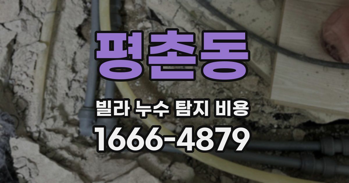 평촌동 빌라 누수 탐지 비용