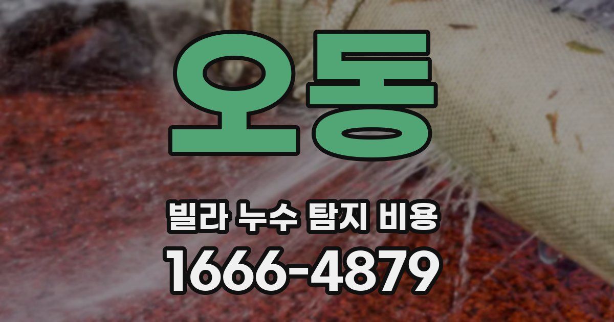 오동 빌라 누수 탐지 비용