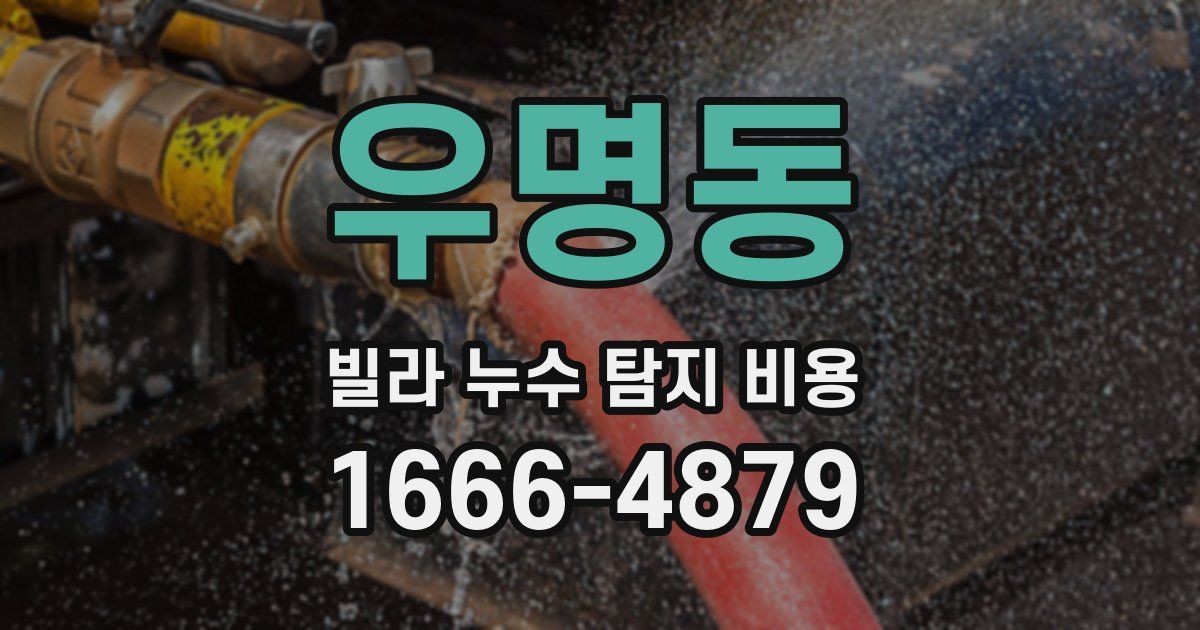 우명동 빌라 누수 탐지 비용