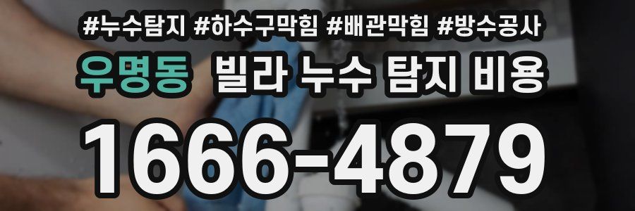우명동 빌라 누수 탐지 비용