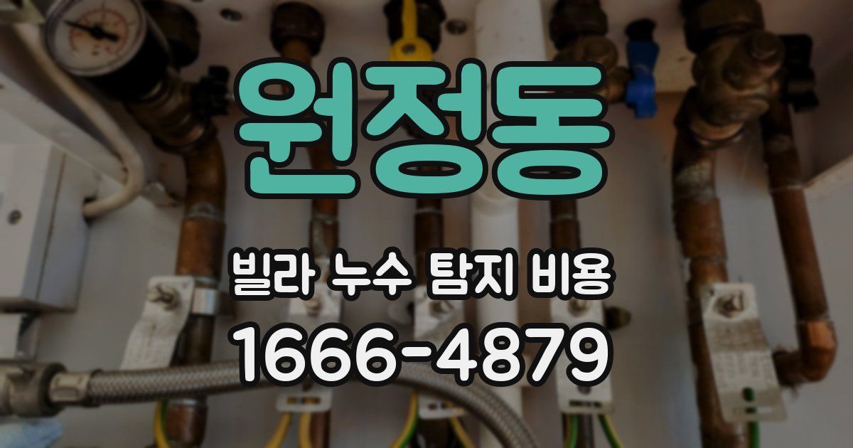 원정동 빌라 누수 탐지 비용